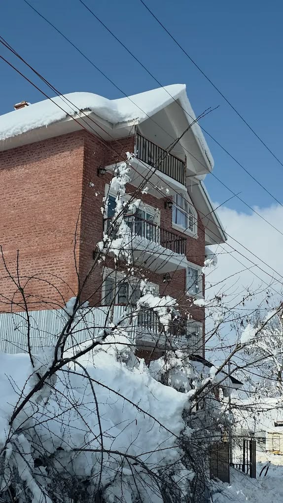 Winter views